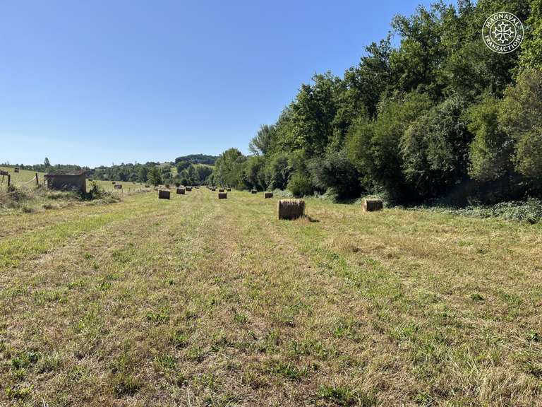 House Caussade - 3 bedrooms - 150m²