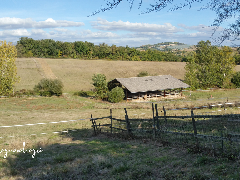 House Caussade - 3 bedrooms - 150m²