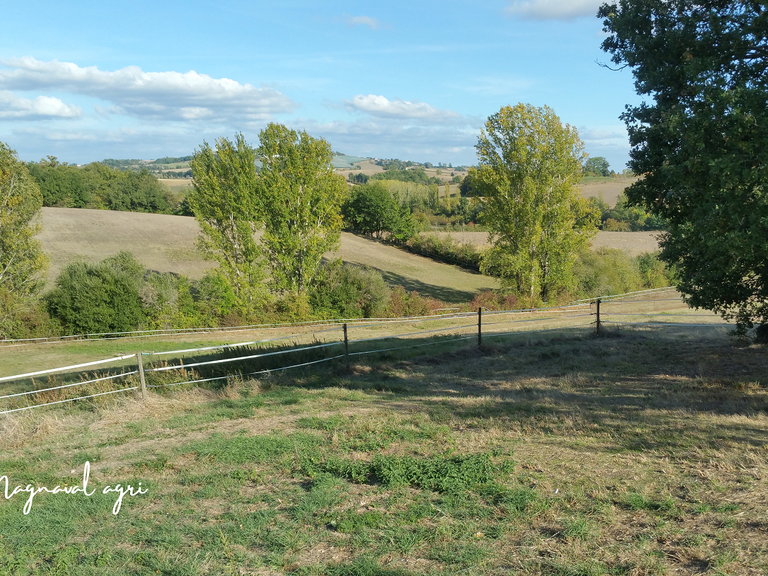 House Caussade - 3 bedrooms - 150m²