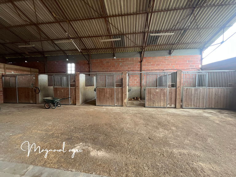 House Caussade - 3 bedrooms - 150m²