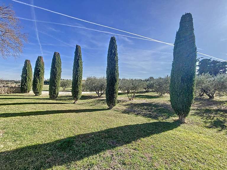 Maison Cavaillon - 6 chambres - 435m²