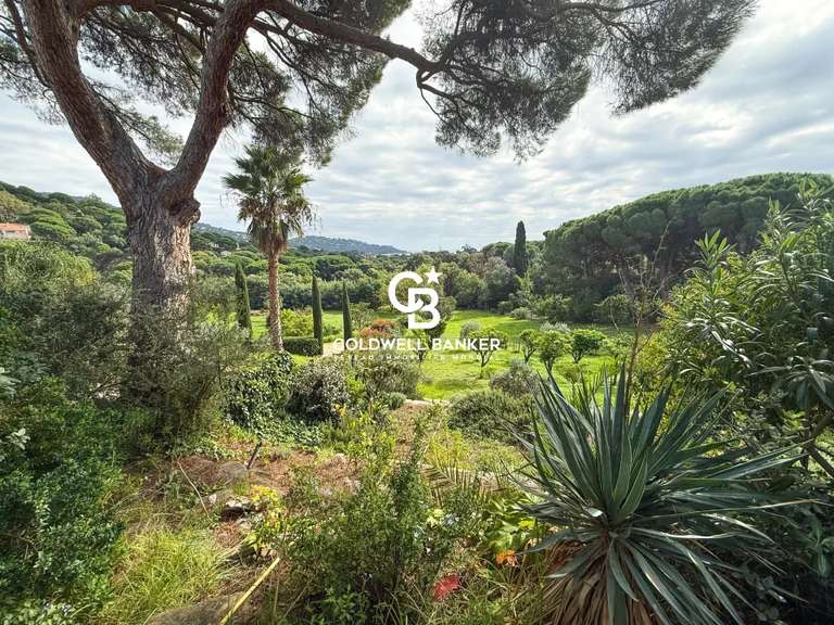 Property cavaliere - 5 bedrooms - 294m²