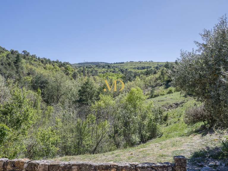 Maison Céreste - 5 chambres - 250m²