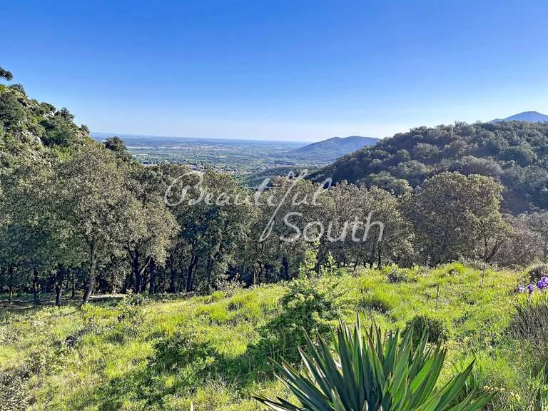 Villa Céret - 4 chambres - 205m²