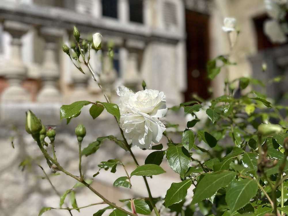 Maison Ceyzérieu