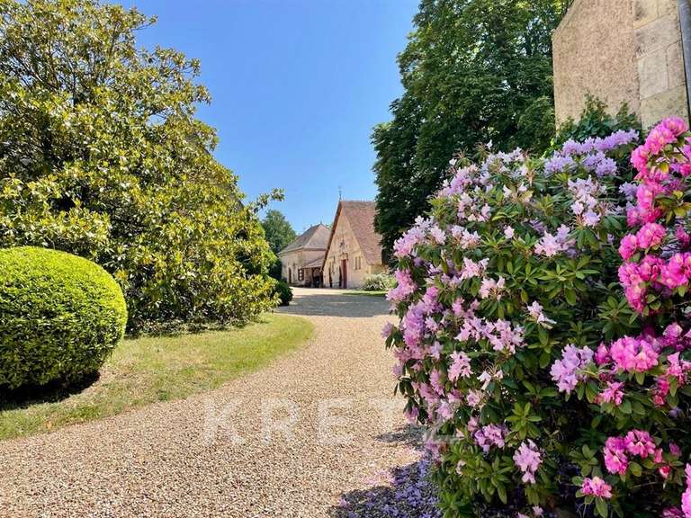 Château Chabris - 11 chambres - 936m²