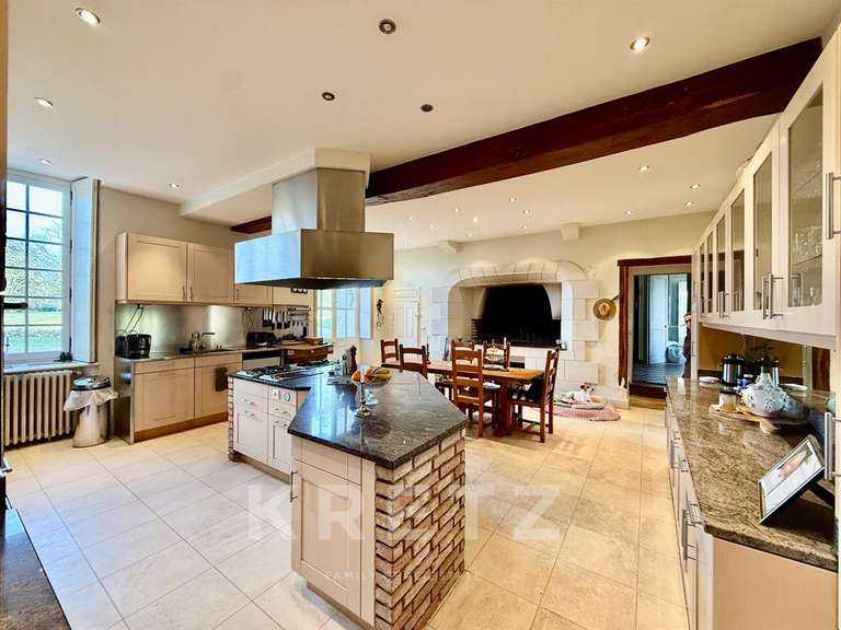 Château Chabris - 11 chambres - 936m²