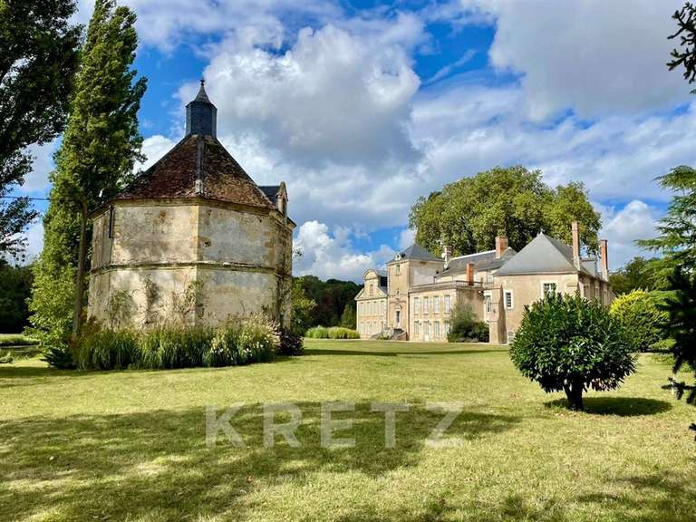 Château Chabris - 11 chambres - 936m²
