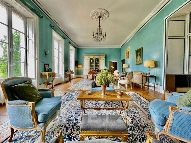 Château Chabris - 11 chambres - 936m²