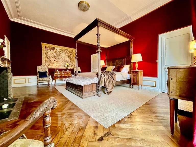 Château Chabris - 11 chambres - 936m²