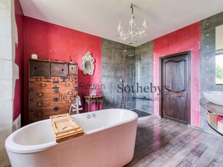 Castle Chaillevette - 9 bedrooms - 666m²