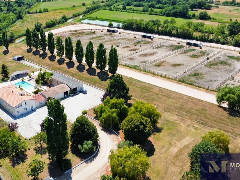 Maison Chaillevette - 5 chambres - 480m²