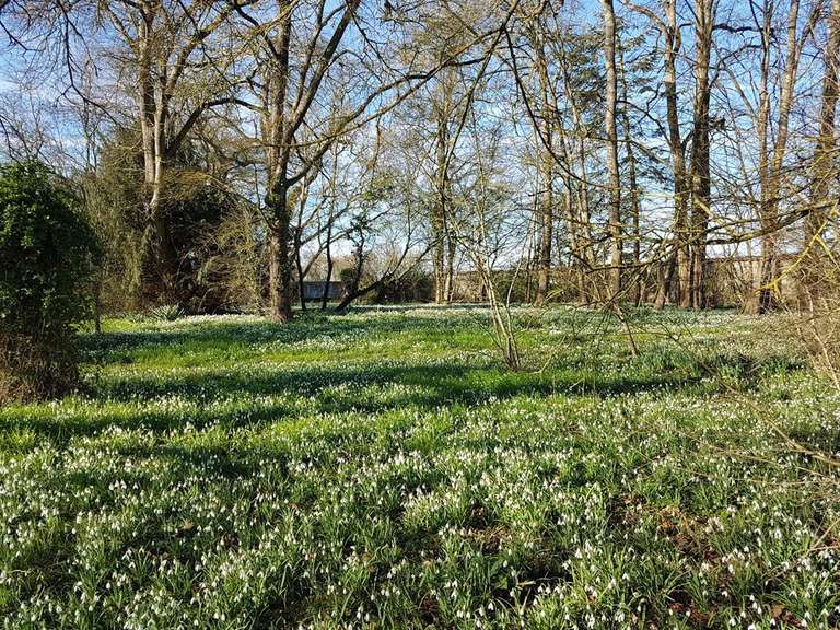 Maison Chaingy - 9 chambres - 371m²