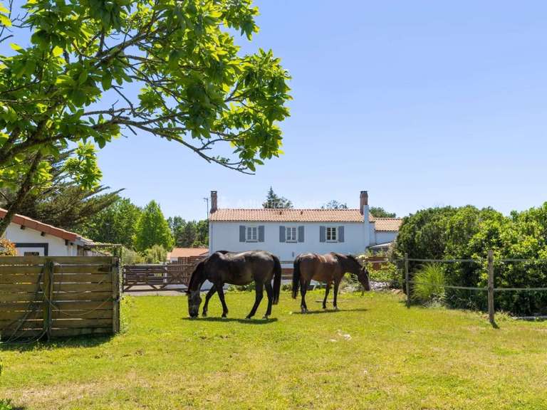 Maison Challans - 4 chambres