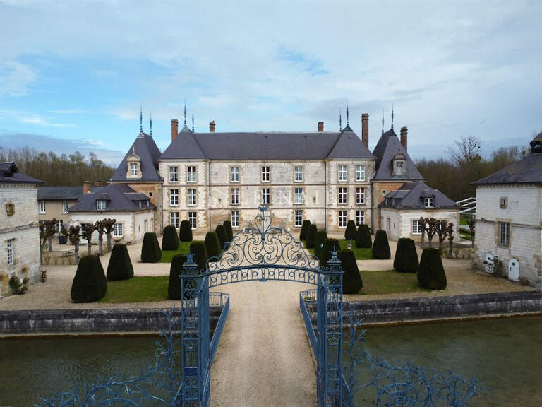 Sale Castle Châlons-en-Champagne - 23 bedrooms