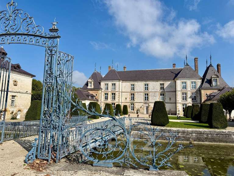Castle Châlons-en-Champagne - 22 bedrooms - 1535m²
