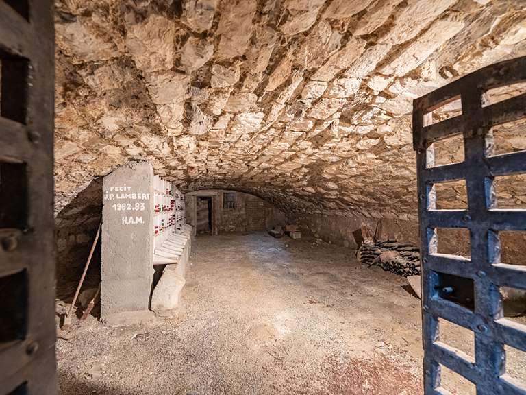 Castle Chambéry - 10 bedrooms - 400m²