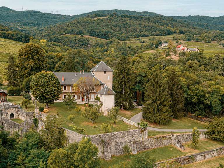 Castle Chambéry - 10 bedrooms - 400m²