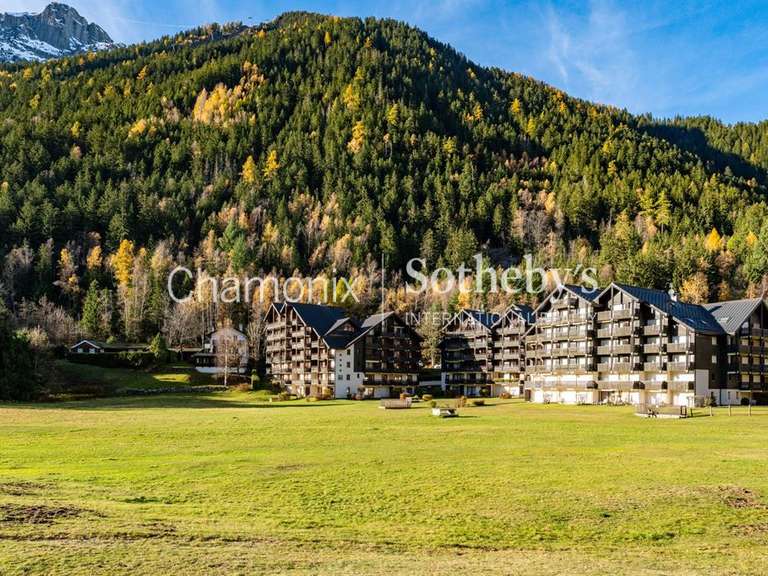 Appartement Chamonix-Mont-Blanc - 1 chambre - 41m²