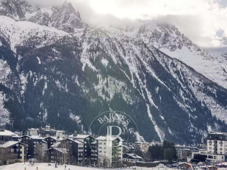 Appartement Chamonix-Mont-Blanc - 1 chambre - 53m²