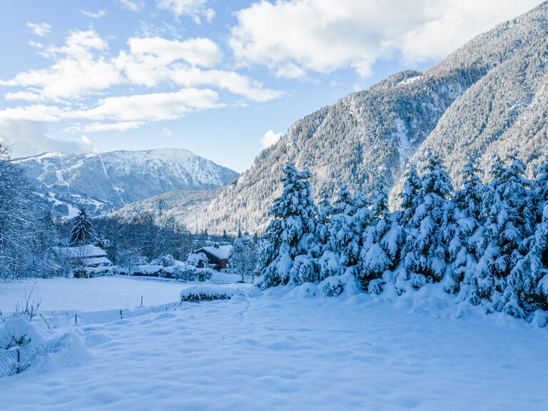 Vente Chalet Chamonix-Mont-Blanc - 4 chambres