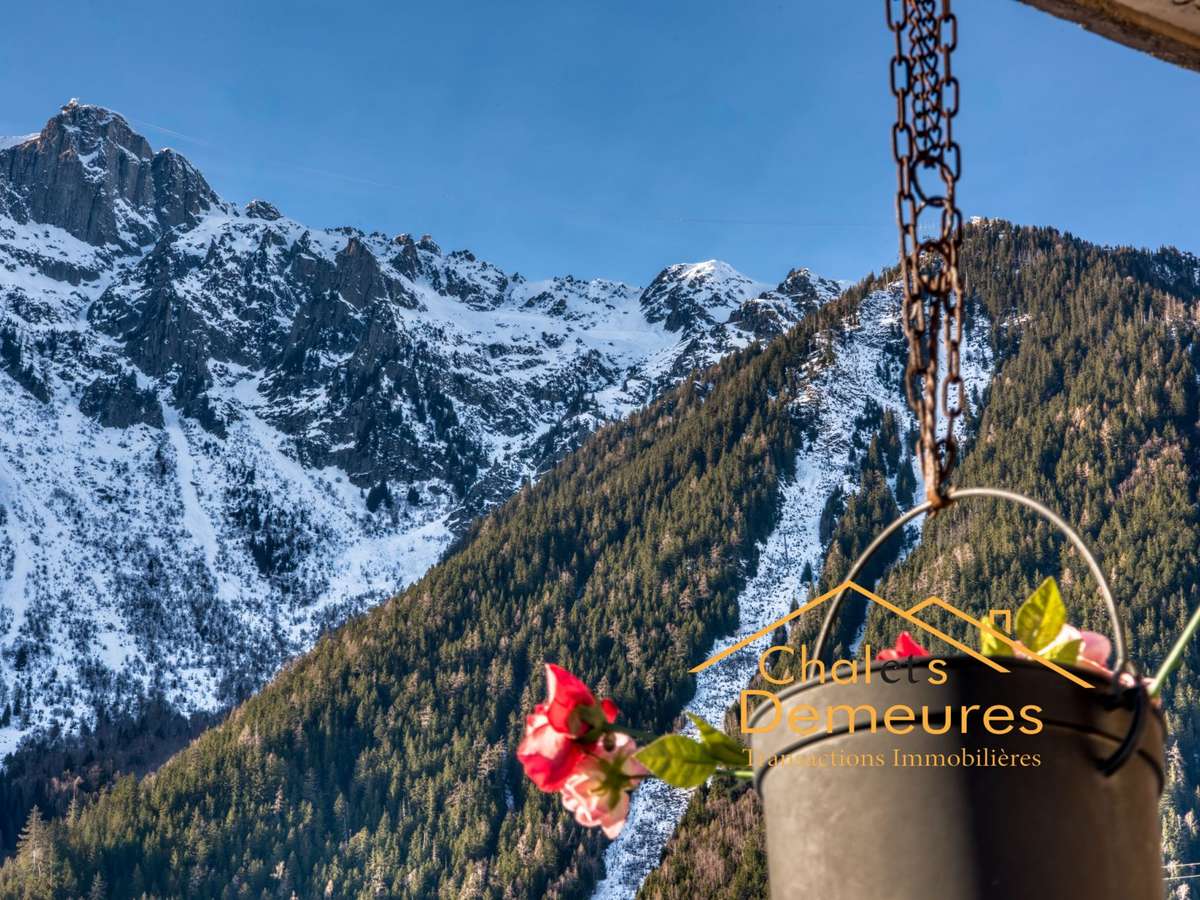 House Chamonix-Mont-Blanc