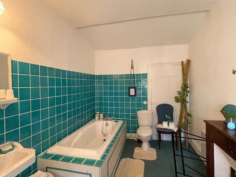 Château Champagnac-de-Belair - 13 chambres - 870m²