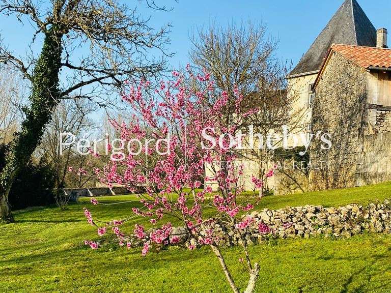 Maison Champagnac-de-Belair - 7 chambres - 370m²