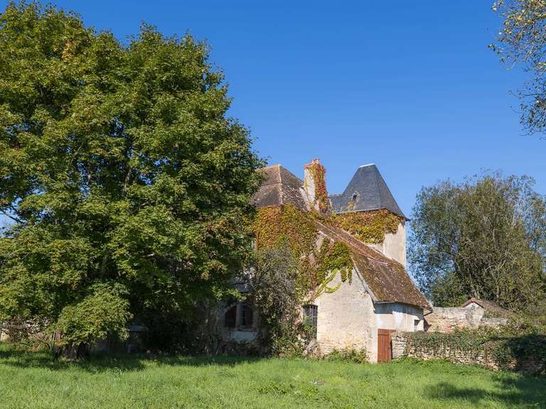 House Champvert - 5 bedrooms - 250m²