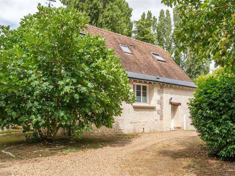 Maison Chançay - 10 chambres - 720m²