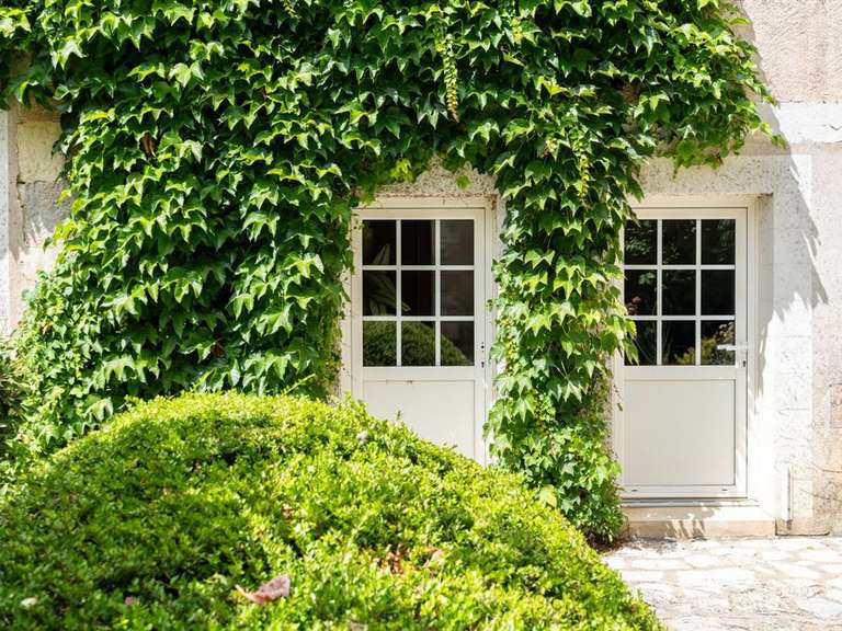 Maison Chançay - 10 chambres - 720m²