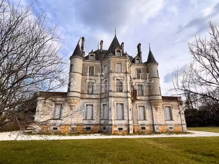 Château Chantonnay - 10 chambres - 843m²