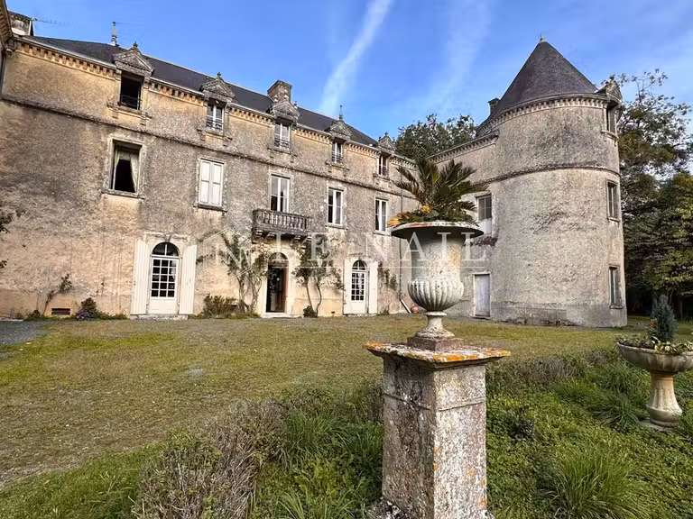 Château Chantonnay - 11 chambres - 840m²