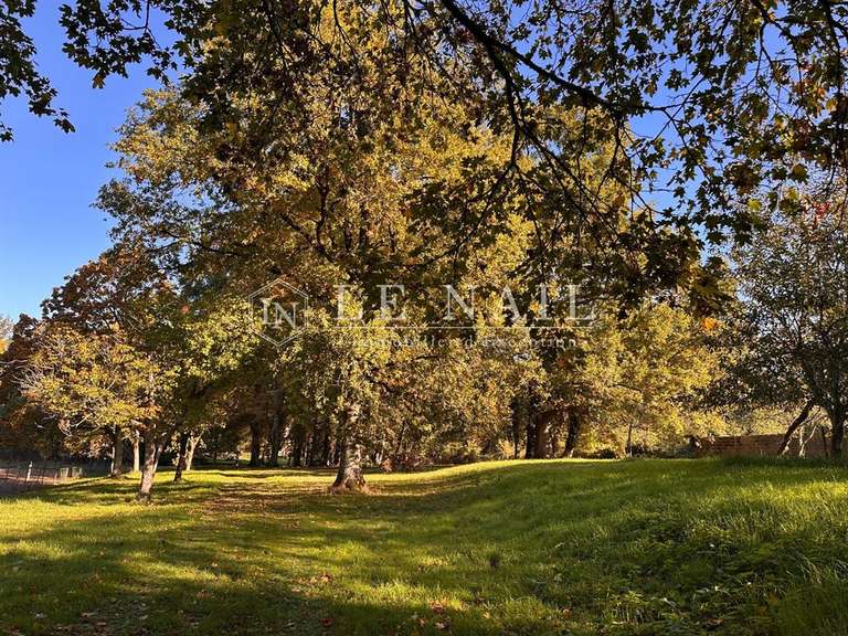 Château Chantonnay - 11 chambres - 840m²