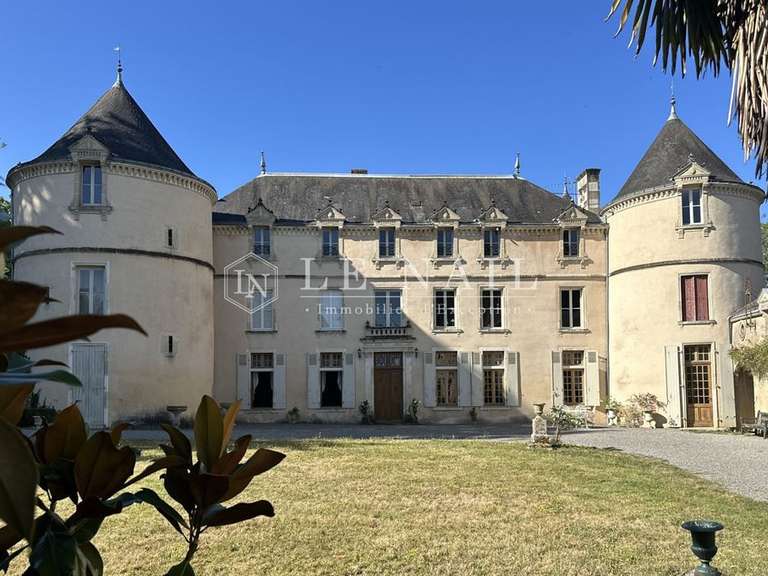 Castle Chantonnay - 11 bedrooms - 840m²