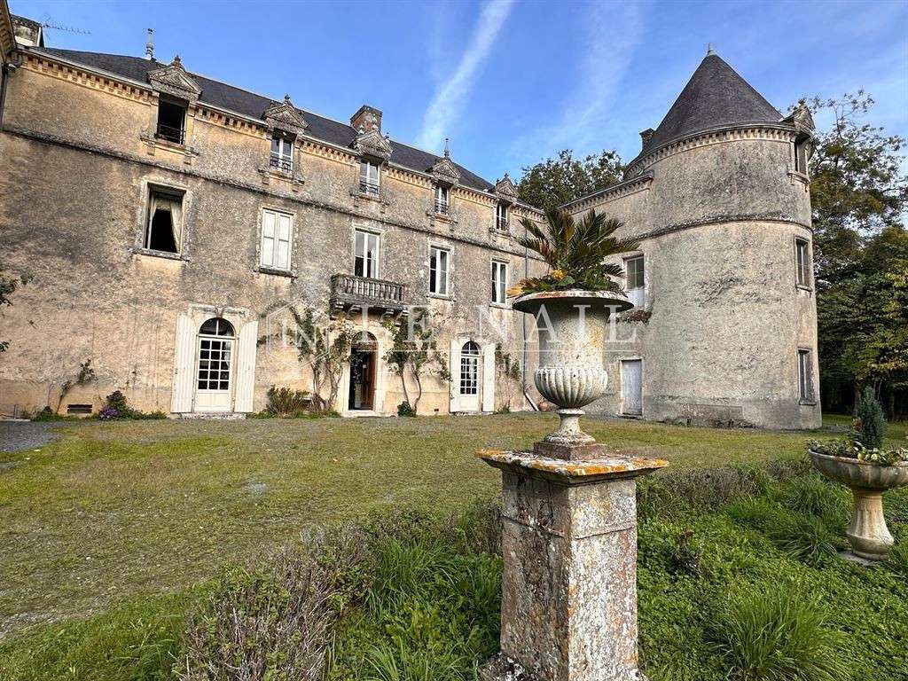 Castle Chantonnay