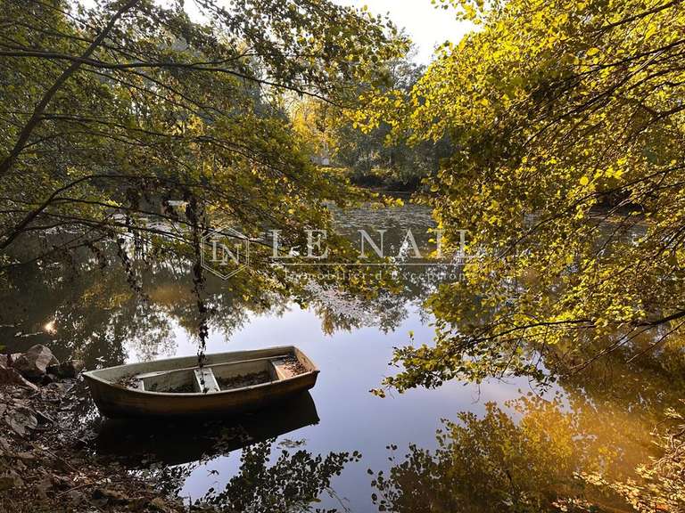 Château Chantonnay - 11 chambres - 840m²