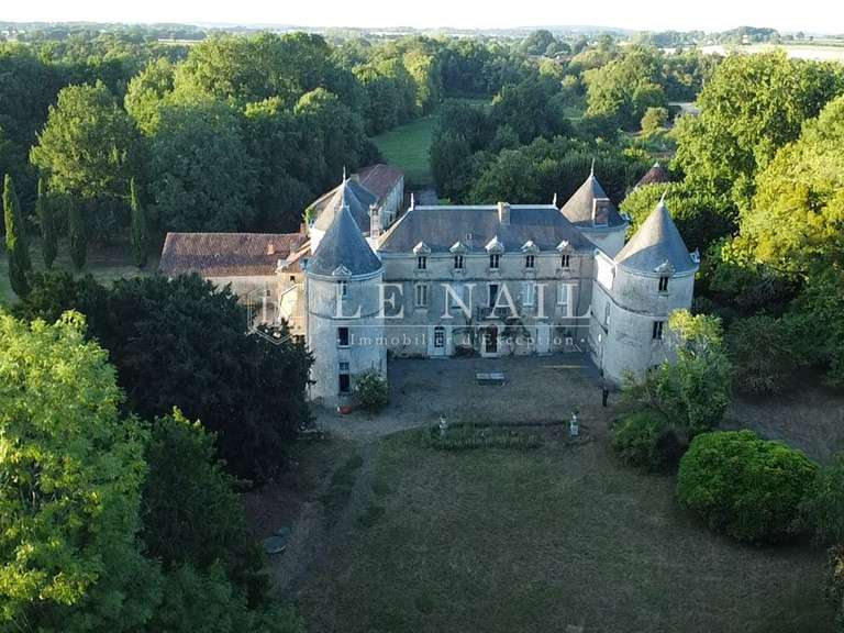 Castle Chantonnay - 11 bedrooms - 840m²