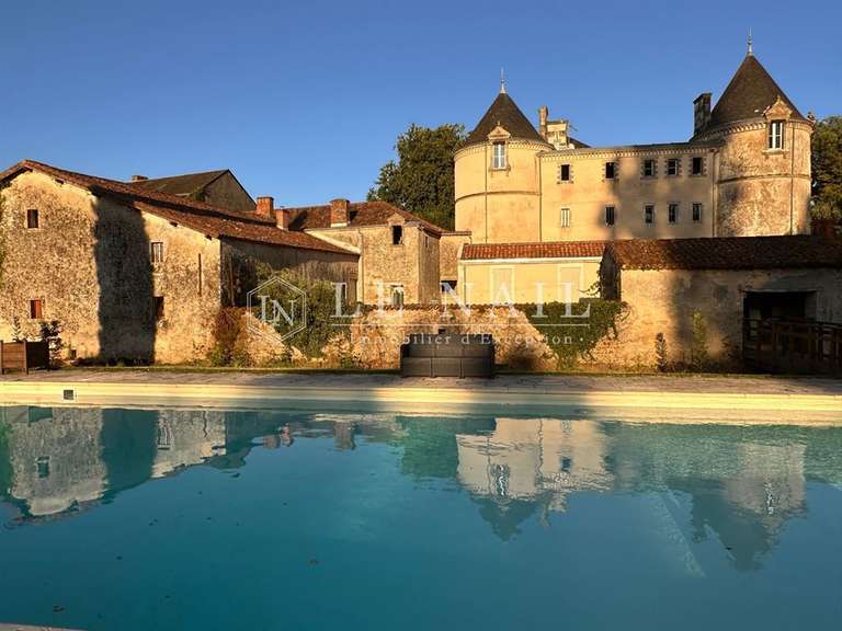 Castle Chantonnay - 11 bedrooms - 840m²