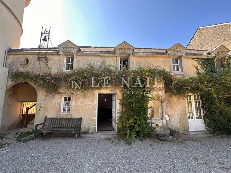 Château Chantonnay - 11 chambres - 840m²