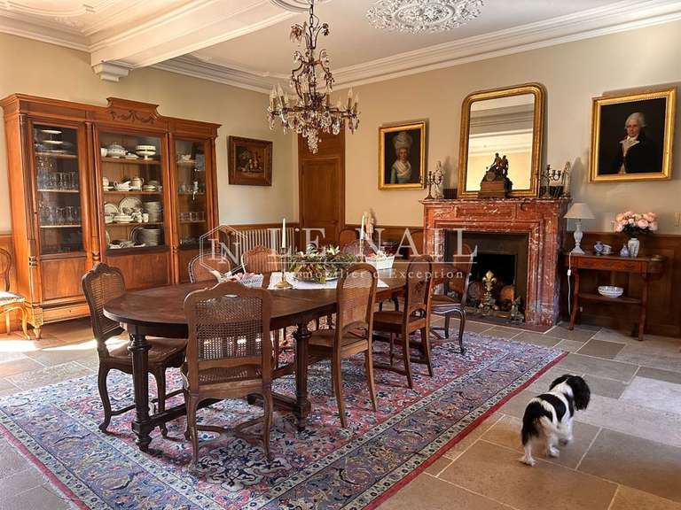Castle Chantonnay - 11 bedrooms - 840m²