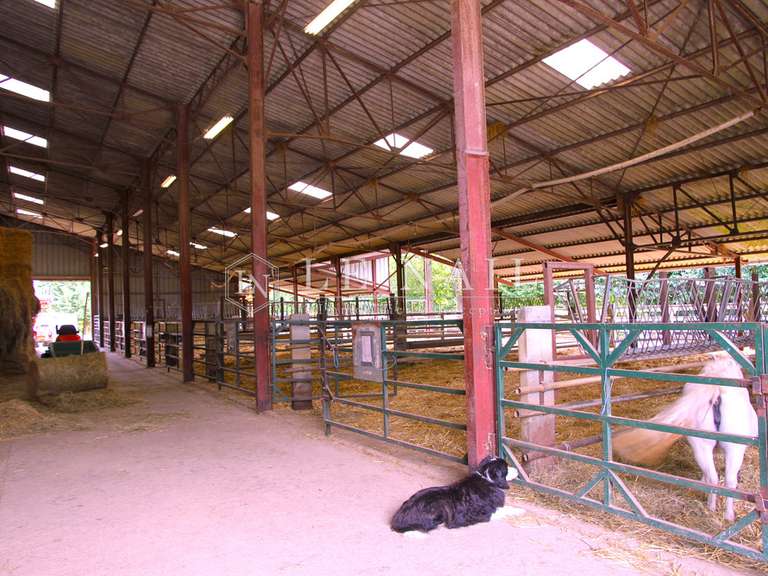 Propriété Chaource - 7 chambres - 220m²