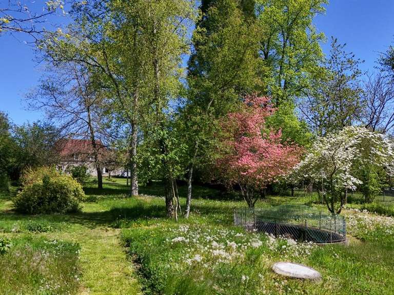 Maison Charolles - 5 chambres - 210m²