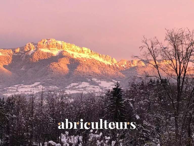 Maison Charvonnex - 8 chambres - 464m²