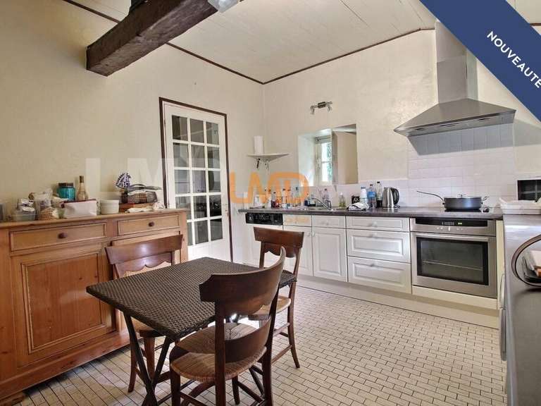 Maison Chasseneuil-du-Poitou - 4 chambres - 261m²