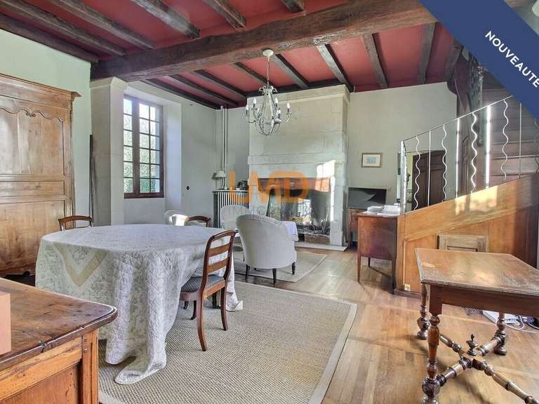 Maison Chasseneuil-du-Poitou - 4 chambres - 261m²