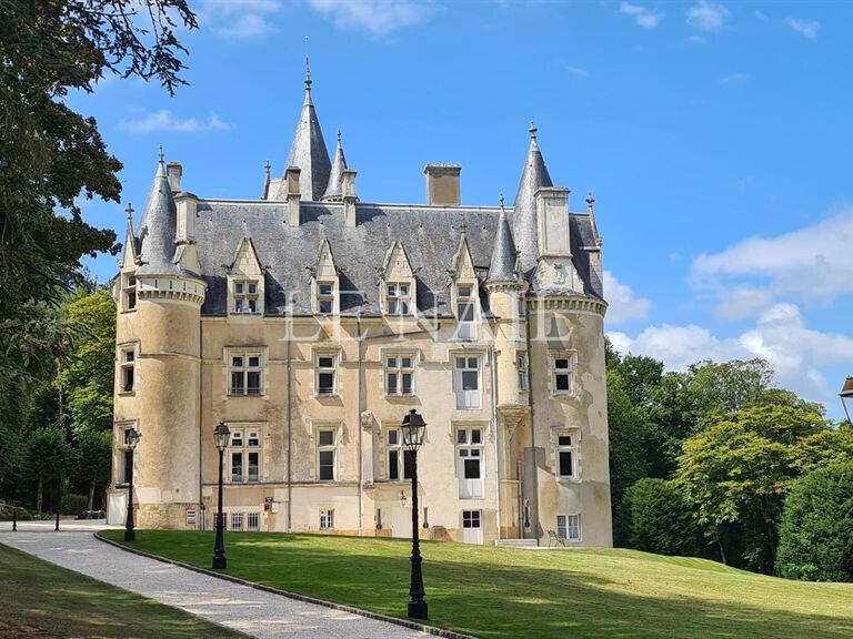 Sale Castle Chateau-du-Loir - 15 bedrooms