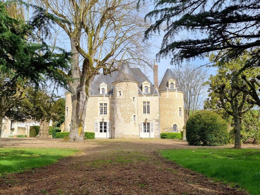 Castle Chateau-du-Loir