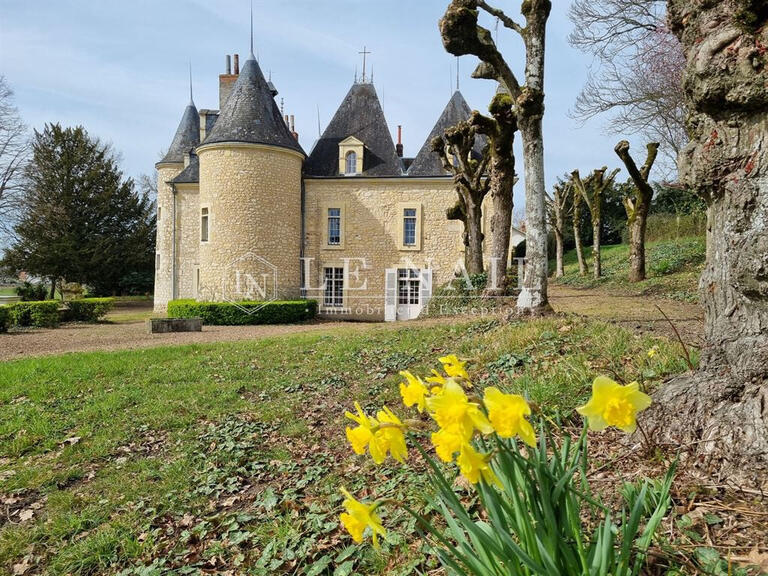 Sale Castle Chateau-du-Loir - 12 bedrooms