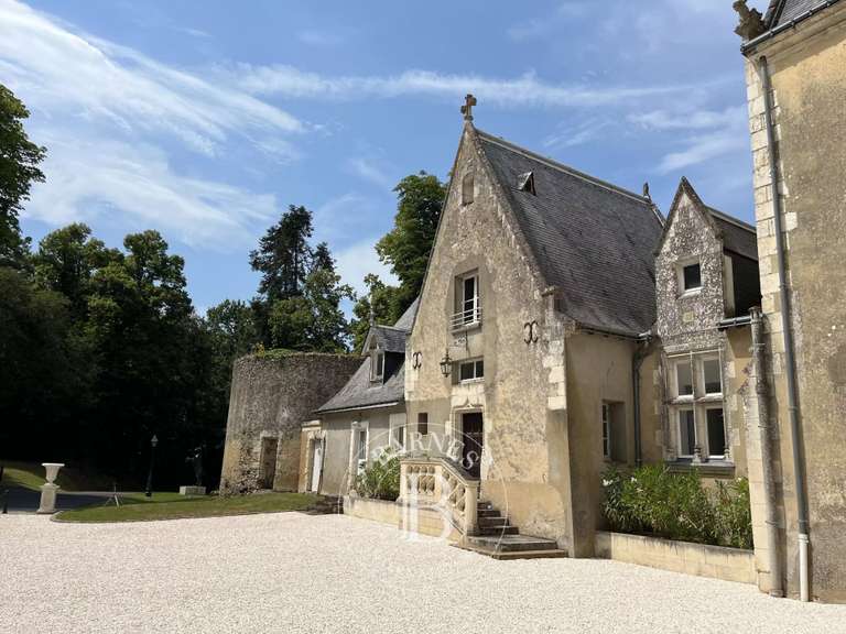 Château Chateau-du-Loir - 15 chambres - 680m²